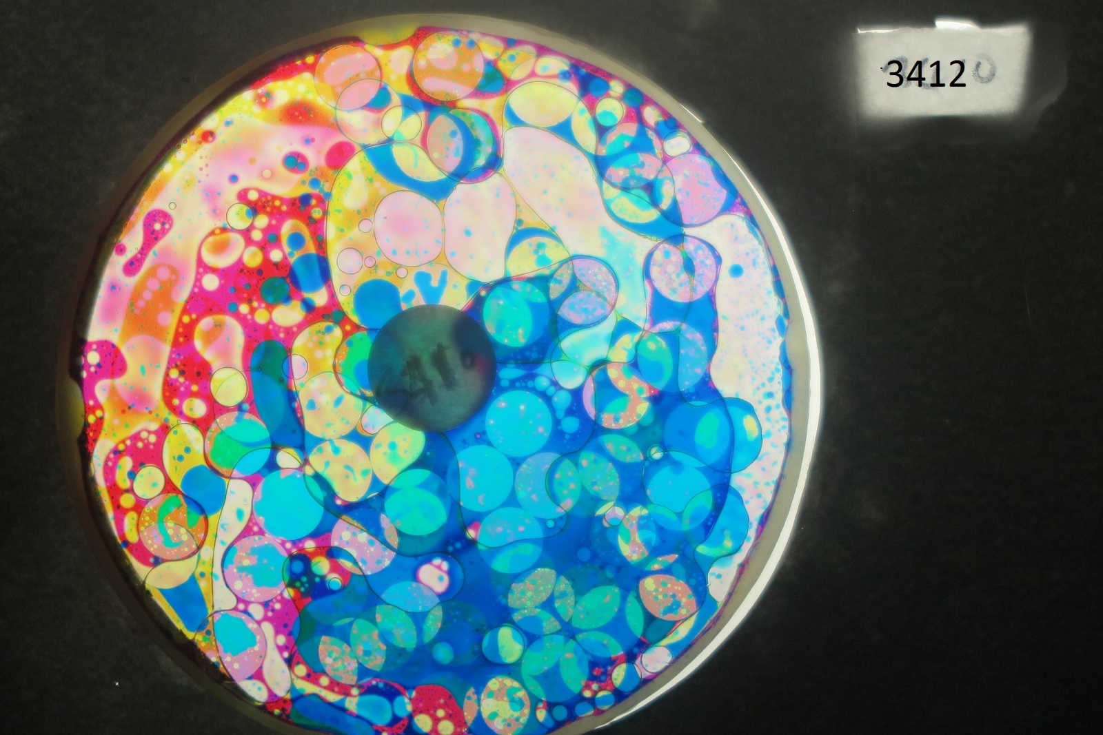 BV3412 bubble vision oil wheel